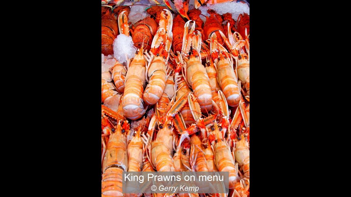 00_King Prawns on menu_Gerry Kemp